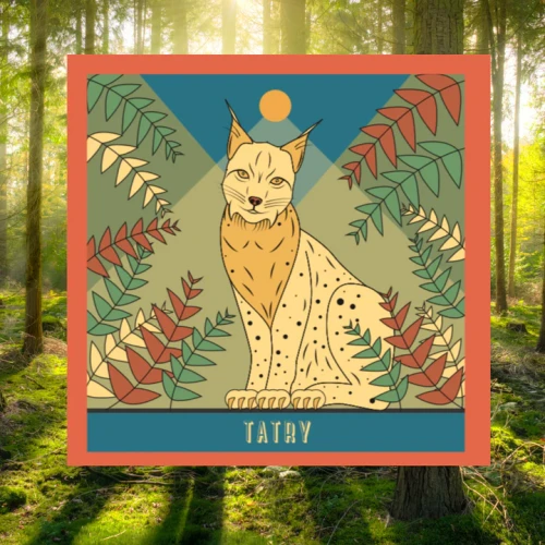 image_87a78ab7-c842-4b70-ace6-843413ab665b_720x.webp