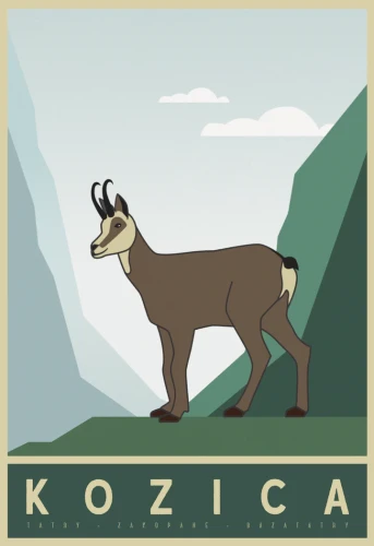 4.webp