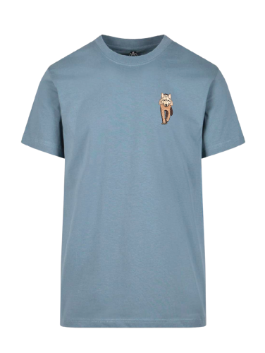 Dusty_Blue1.png