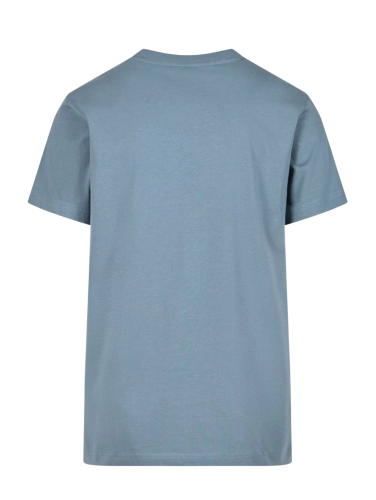 Dusty_Blue2.png