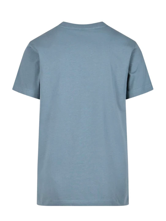 Dusty_Blue2.png
